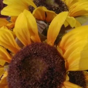 Meet your Posher, Shonda